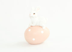 Bunny on Easter Egg